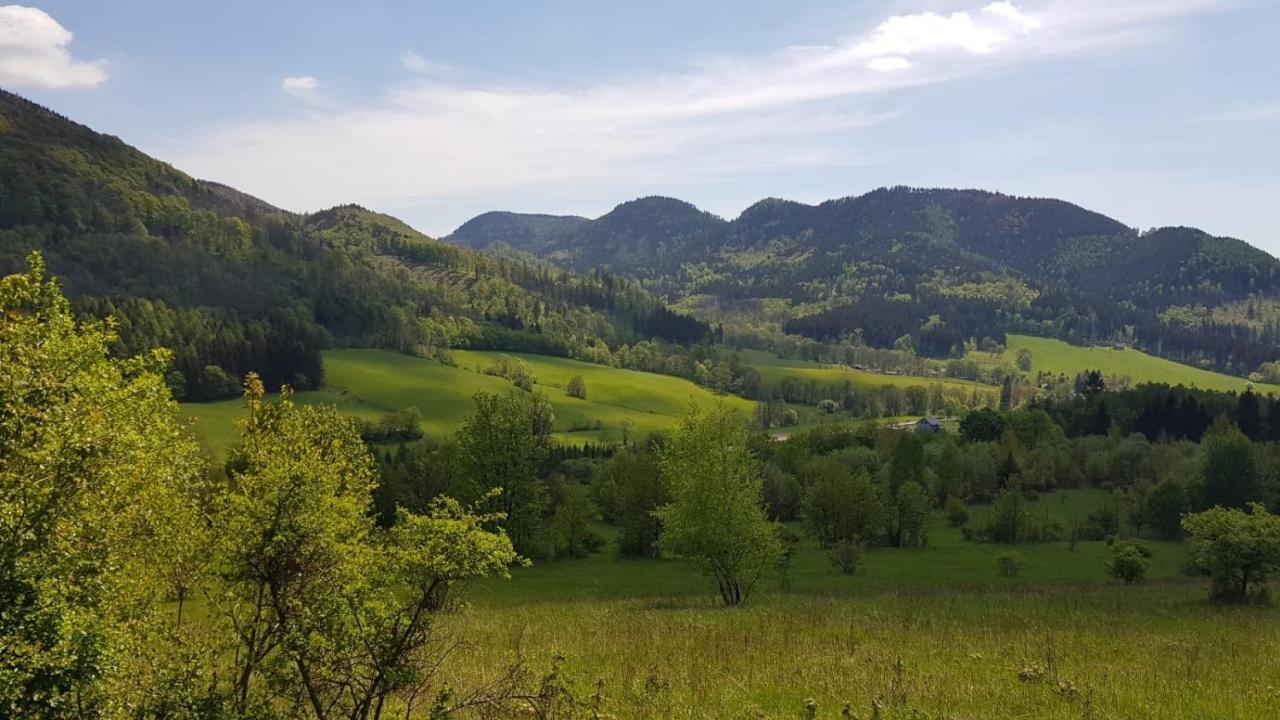 Sloneczne Apartamenty Sokolowsko Exterior foto